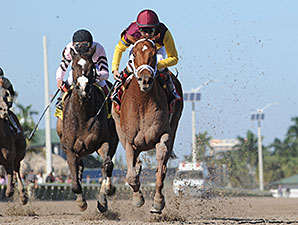 Sweet N Discreet Gets Millions Distaff Trip Sweet N Discreet Gets Millions Distaff Trip