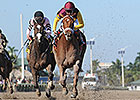 Sweet N Discreet Gets Millions Distaff Trip Sweet N Discreet Gets Millions Distaff Trip