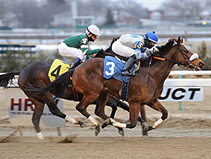 Sweet Reason Comes Back a Winner Sweet Reason Comes Back a Winner