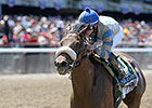 Sweet Reason Set for BC Filly and Mare Sprint Sweet Reason Set for BC Filly and Mare Sprint