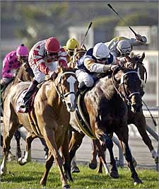 Resilient Sweet Return Wins Kilroe Mile Resilient Sweet Return Wins Kilroe Mile
