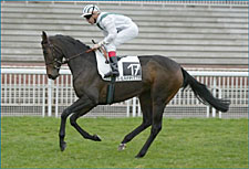 Team Valor's Sweet Stream Wins Prix Vermeille Team Valor's Sweet Stream Wins Prix Vermeille