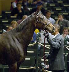 Sweet Talker Sells for $1,150,000 at Keeneland Wednesday Sweet Talker Sells for $1,150,000 at Keeneland Wednesday