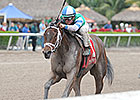 Sweet Whiskey Takes Rail to Old Hat Win Sweet Whiskey Takes Rail to Old Hat Win