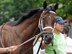Sweet Whiskey to Take Old Hat Shot From Rail Sweet Whiskey to Take Old Hat Shot From Rail