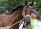 Sweet Whiskey to Take Old Hat Shot From Rail Sweet Whiskey to Take Old Hat Shot From Rail
