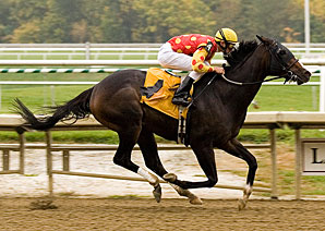 Sweetnorthernsaint Back in Action Sweetnorthernsaint Back in Action