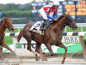 Grade I Winner Swift Temper Retired Grade I Winner Swift Temper Retired
