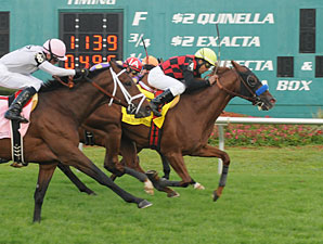 Swift Warrior Hits Target in Tampa Bay Stakes Swift Warrior Hits Target in Tampa Bay Stakes