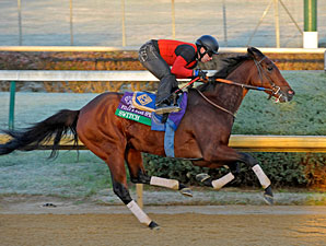 Switch to be Entered in Filly & Mare Sprint Switch to be Entered in Filly & Mare Sprint