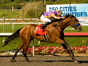 Sadler Finds Blind Luck's Weak Spot Again Sadler Finds Blind Luck's Weak Spot Again