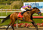 Sadler Finds Blind Luck's Weak Spot Again 