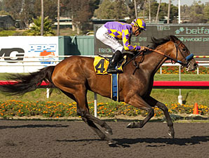 Switch Puts A Gleam Back in Sadler's Smile Switch Puts A Gleam Back in Sadler's Smile