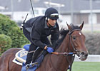 Sadler Seeks La Brea Repeat With Switch