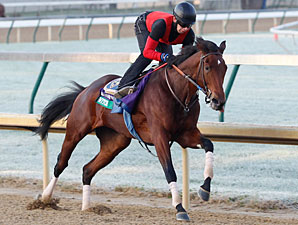 Switch Is Back Again for Filly & Mare Sprint Switch Is Back Again for Filly & Mare Sprint
