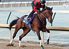 Switch Is Back Again for Filly & Mare Sprint
