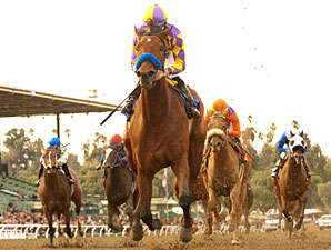 Spotlight Back on Calumet with Switch's Win Spotlight Back on Calumet with Switch's Win