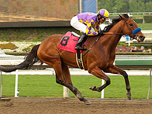 Switch Turns It On in Flashy Santa Monica Win Switch Turns It On in Flashy Santa Monica Win