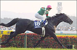 Symboli Kris S Repeats as Japanese Horse of the Year Symboli Kris S Repeats as Japanese Horse of the Year
