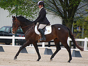 TBHS Taking Entries for April 14 Show TBHS Taking Entries for April 14 Show