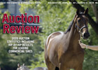 Blood-Horse to Publish Combined Issue Blood-Horse to Publish Combined Issue