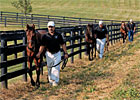 Trade Zone: Baby Boot Camp-Prepping Yearlings