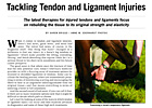 Trade Zone: Tendon and Ligament Injuries