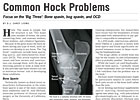 Trade Zone: Common Hock Problems Trade Zone: Common Hock Problems