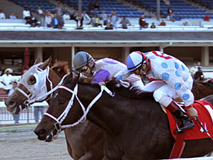 Tackleberry Determined Hooper 'Cap Winner Tackleberry Determined Hooper 'Cap Winner