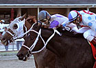 Tackleberry Determined Hooper 'Cap Winner 