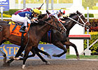 Tackleberry Hangs Tough in GP Handicap