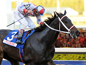 Florida Star Tackleberry Back in Training Florida Star Tackleberry Back in Training