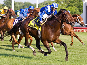 Tajaaweed Grabs Arlington Handicap Victory Tajaaweed Grabs Arlington Handicap Victory
