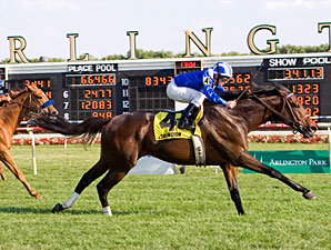 Tajaaweed Takes Aim at River City Handicap Tajaaweed Takes Aim at River City Handicap