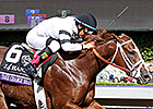 Court Picks Up Mount on Take Charge Brandi Court Picks Up Mount on Take Charge Brandi