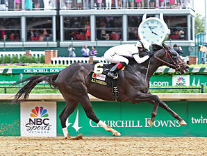 Florida Derby Winner Take Charge Indy Retired