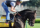Take Charge Indy Works in :35 2/5 for Clark Take Charge Indy Works in :35 2/5 for Clark