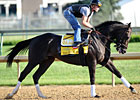 Take Charge Indy Pointing for Fall Return Take Charge Indy Pointing for Fall Return