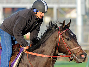 Take Charge Indy Fresh for Florida Derby