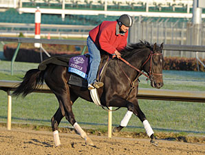 Take Charge Indy to Pass Tampa Bay Derby Take Charge Indy to Pass Tampa Bay Derby
