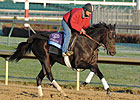 Take Charge Indy to Pass Tampa Bay Derby
