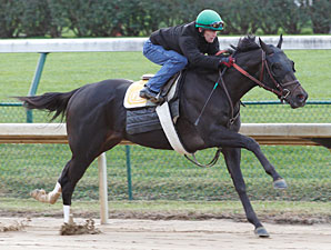 Take Charge Indy Has Bullet Work at Churchill Take Charge Indy Has Bullet Work at Churchill