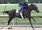 Take Charge Indy Has Bullet Work at Churchill