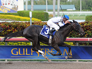 Take Charge Indy on Track for Donn Handicap Take Charge Indy on Track for Donn Handicap