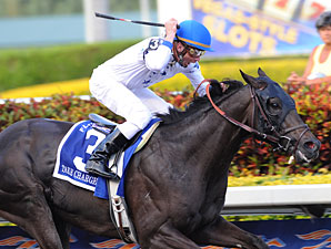 Take Charge Indy Among Skip Away Favorites Take Charge Indy Among Skip Away Favorites