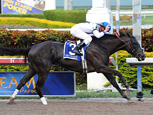 WinStar Will Stand Take Charge Indy WinStar Will Stand Take Charge Indy
