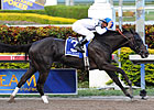 WinStar Will Stand Take Charge Indy