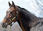 Slideshow: Take Charge Lady Slideshow: Take Charge Lady