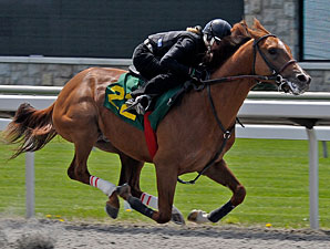 Kentucky Derby Trail: Opening Act Kentucky Derby Trail: Opening Act