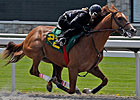 Kentucky Derby Trail: Opening Act Kentucky Derby Trail: Opening Act